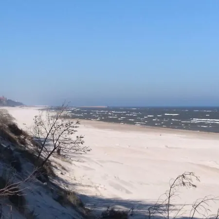 - Przy Porcie וובה