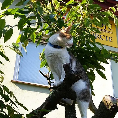 - Przy Porcie * ليبا