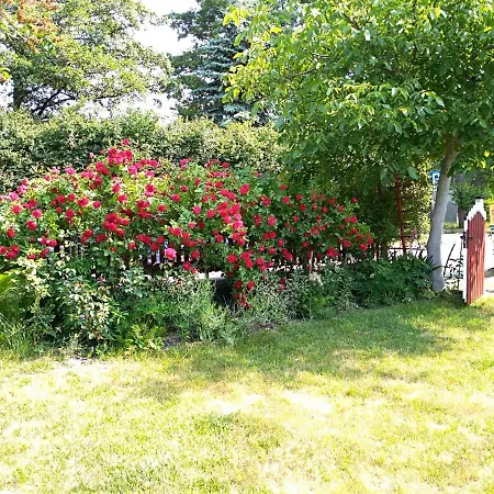 - Przy Porcie منزل للإقامة ليبا