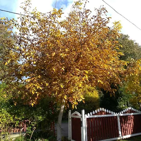 - Przy Porcie בית אירוח וובה