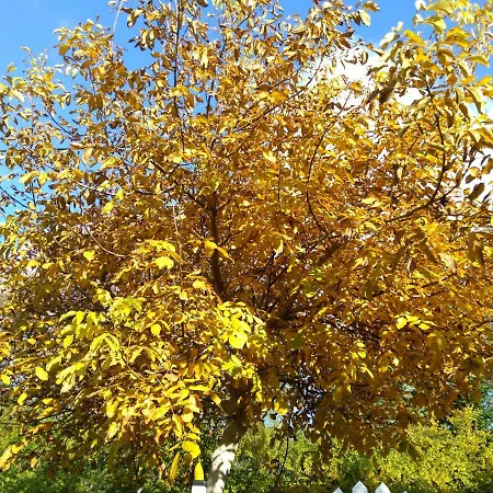 - Przy Porcie בית אירוח