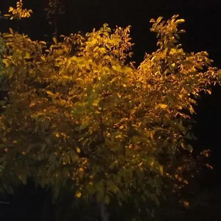 - Przy Porcie منزل للإقامة *