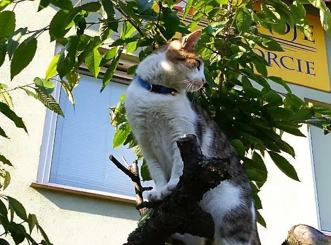 - Przy Porcie * Łeba