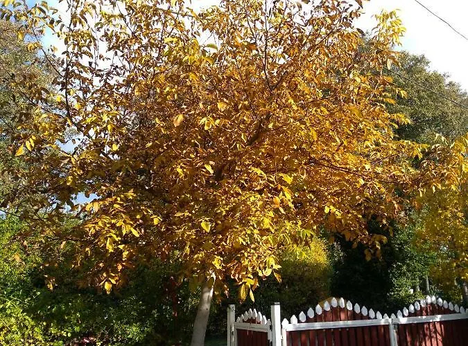 - Przy Porcie Quarto em Acomodações Particulares Łeba