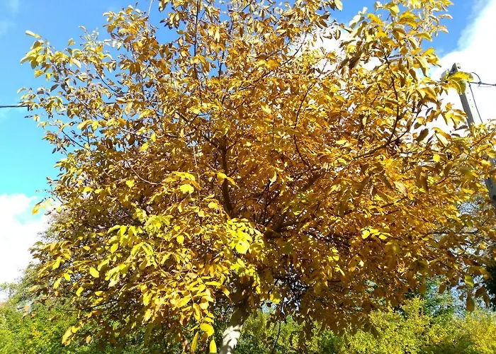 - Przy Porcie Kwatera prywatna